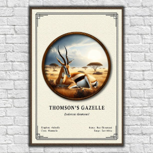 Poster Série de Zoologia da Gazela de Thomson