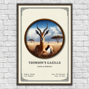 Poster Série de Zoologia da Gazela de Thomson