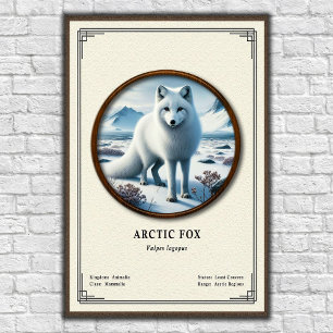 Poster Série de Zoologia da Raposa Ártica