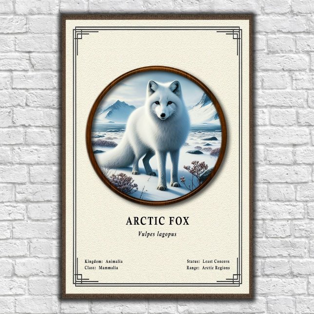 Poster Série de Zoologia da Raposa Ártica (Criador carregado)