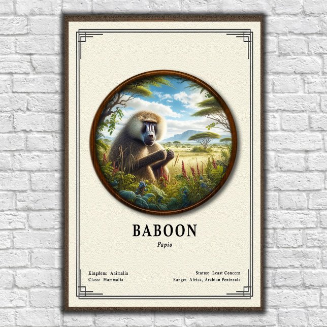 Poster Série de Zoologia de Babuínos (Criador carregado)