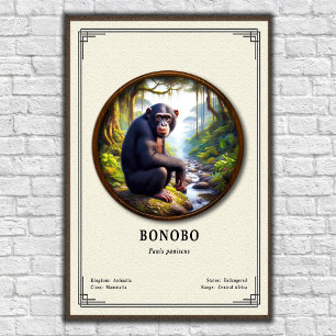 Poster Série de Zoologia de Bonobo
