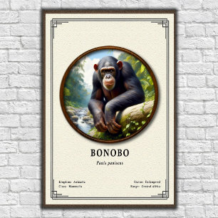 Poster Série de Zoologia de Bonobos