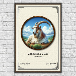 Poster Série de Zoologia de Cabra Cashmere