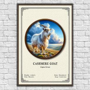 Poster Série de Zoologia de Cabra Cashmere