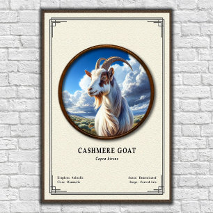 Poster Série de Zoologia de Cabra Cashmere