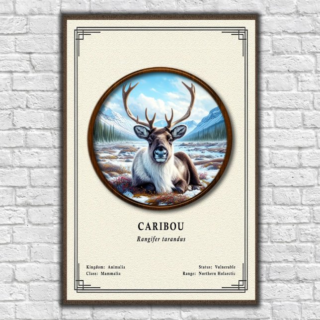Poster Série de Zoologia de Caribu (Criador carregado)
