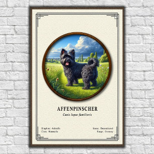 Poster Série de Zoologia do Affenpinscher