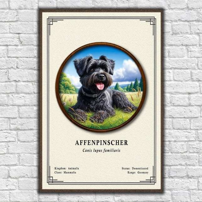Poster Série de Zoologia do Affenpinscher (Criador carregado)