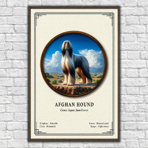 Poster Série de Zoologia do Afghan Hound