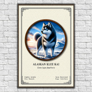 Poster Série de Zoologia do Alaskan Klee Kai