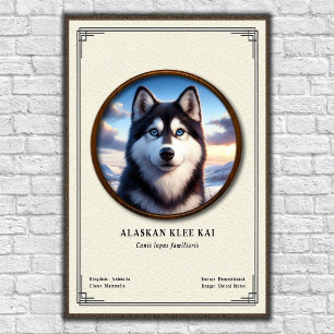 Poster Série de Zoologia do Alaskan Klee Kai