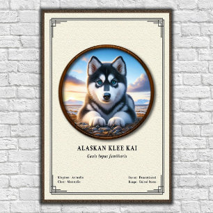 Poster Série de Zoologia do Alaskan Klee Kai