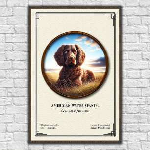 Poster Série de Zoologia do American Water Spaniel