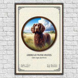 Poster Série de Zoologia do American Water Spaniel