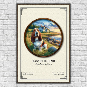 Poster Série de Zoologia do Basset Hound