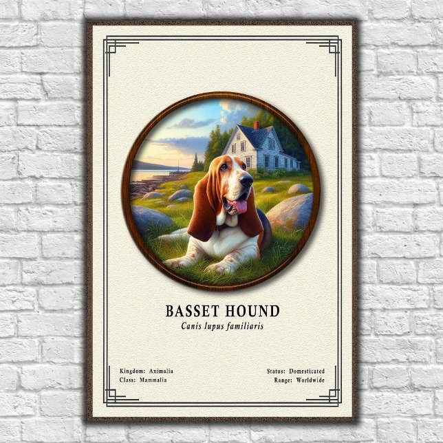 Poster Série de Zoologia do Basset Hound (Criador carregado)