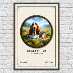 Poster Série de Zoologia do Basset Hound