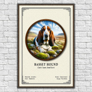 Poster Série de Zoologia do Basset Hound