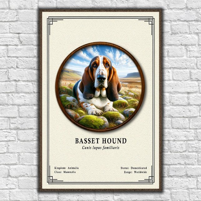 Poster Série de Zoologia do Basset Hound (Criador carregado)