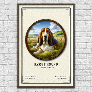 Poster Série de Zoologia do Basset Hound