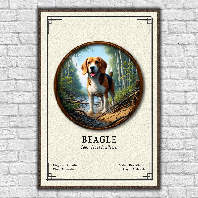 Poster Série de Zoologia do Beagle (Criador carregado)