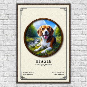 Poster Série de Zoologia do Beagle