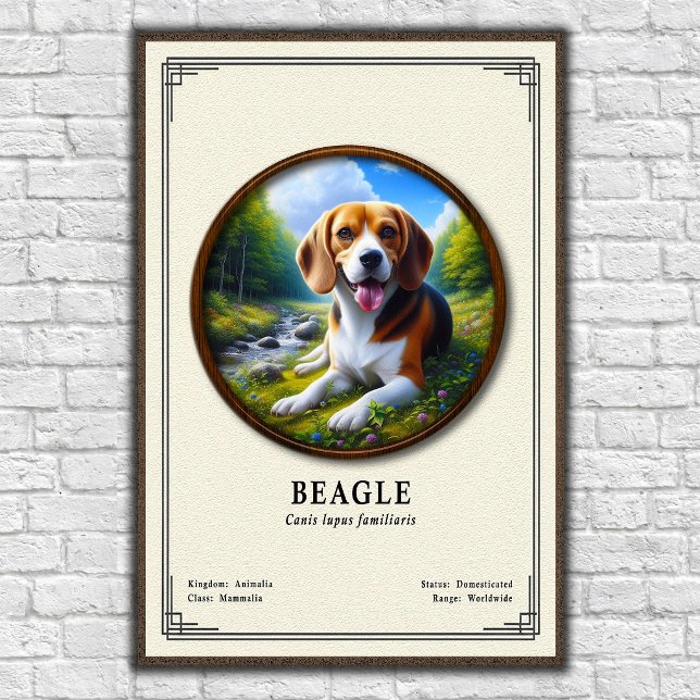 Poster Série de Zoologia do Beagle (Criador carregado)