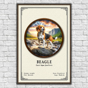 Poster Série de Zoologia do Beagle