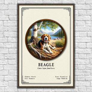 Poster Série de Zoologia do Beagle