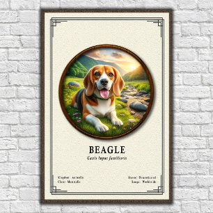 Poster Série de Zoologia do Beagle