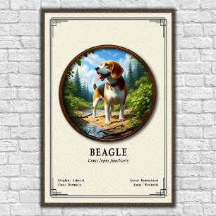 Poster Série de Zoologia do Beagle