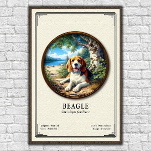 Poster Série de Zoologia do Beagle