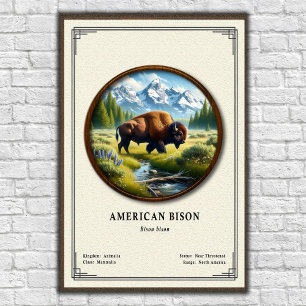 Poster Série de Zoologia do Bisonte Americano