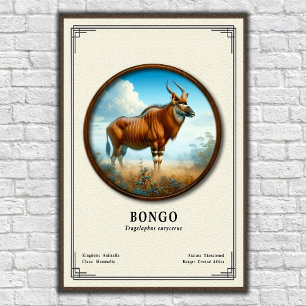 Poster Série de Zoologia do Bongo