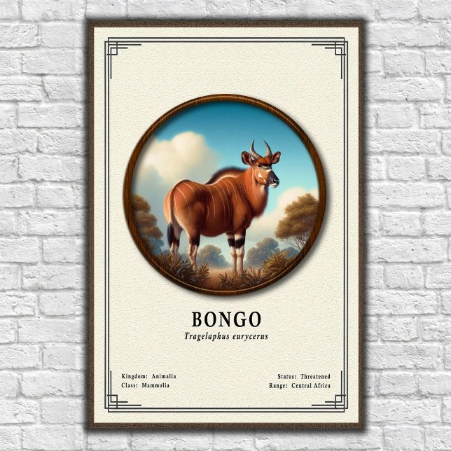 Poster Série de Zoologia do Bongo (Criador carregado)