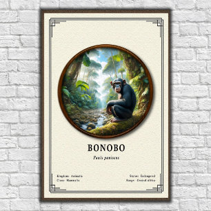 Poster Série de Zoologia do Bonobo