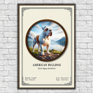 Poster Série de Zoologia do Bulldog Americano