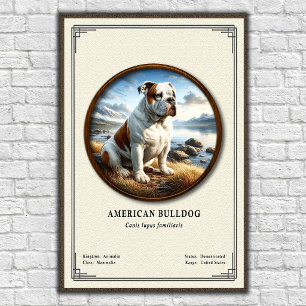Poster Série de Zoologia do Bulldog Americano