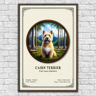 Poster Série de Zoologia do Cairn Terrier