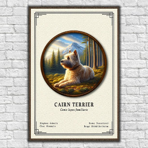 Poster Série de Zoologia do Cairn Terrier