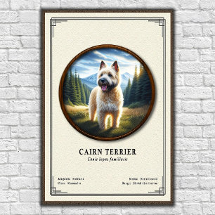 Poster Série de Zoologia do Cairn Terrier