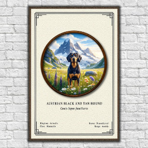 Poster Série de Zoologia do Cão de Caça Preto e Fogo Aust
