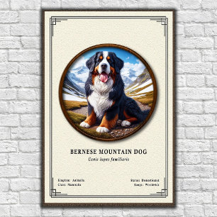 Poster Série de Zoologia do Cão de Montanha Bernês
