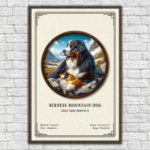 Poster Série de Zoologia do Cão de Montanha de Berna