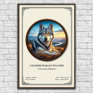 Poster Série de Zoologia do Cão Lobo Checoslovaco