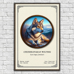 Poster Série de Zoologia do Cão Lobo Checoslovaco