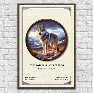 Poster Série de Zoologia do Cão Lobo Checoslovaco
