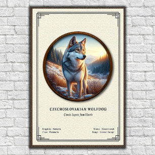 Poster Série de Zoologia do Cão Lobo Checoslovaco