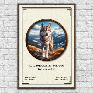 Poster Série de Zoologia do Cão Lobo Checoslovaco